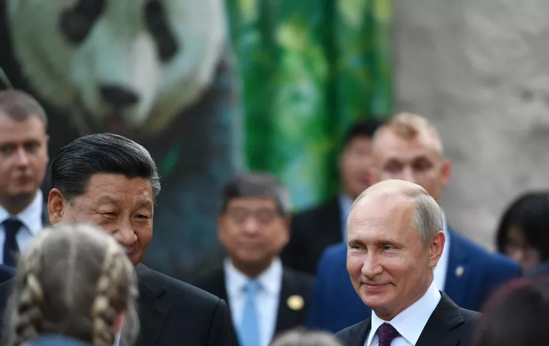 Russian President Vladimir Putin and his Chinese counterpart Xi Jinping attend a welcoming ceremony for two Chinese giant pandas - male Ru Yi and female Ding Ding - at the Moscow zoo on June 5, 2019. (Photo by Alexander VILF / SPUTNIK / AFP)
