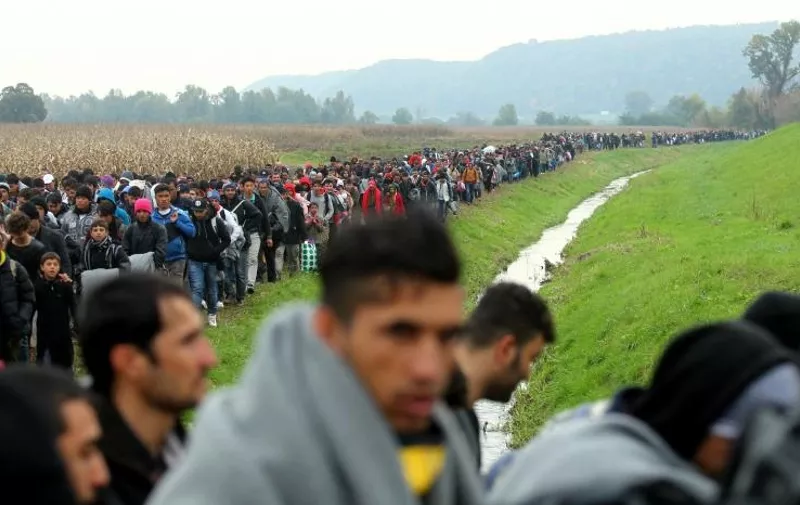 Izbjeglice u koloni hodaju prema kampu u Brežicama