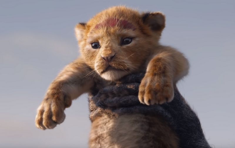 Za kraj, 19.7. u kina dolazi dugoočekivani Lion King, od tvoraca Knjige od džungli i trebao bi biti svojevrsno remekdjelo kinematografske tehnologije