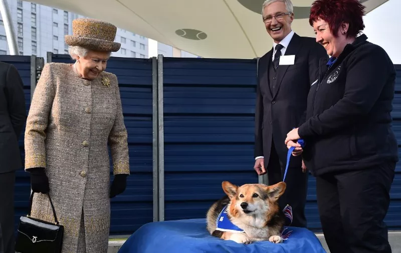 Britain's Queen Elizabeth II (L) looks at a Corgi dog as British television presenter Paul O'Grady (2nd R) looks on during a visit to Battersea Dogs and Cats Home in London on March 17, 2015. AFP PHOTO / POOL / BEN STANSALL
