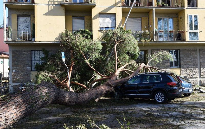 Trees felled by a tornado lie on a car in central Florence on August 2, 2015. Some twenty people were wounded on August 1 when a tornado accompanied by heavy rains hit Florence, the Tuscan capital, and caused interruptions in the circulation of trains to Rome.  AFP PHOTO / CLAUDIO GIOVANNINI