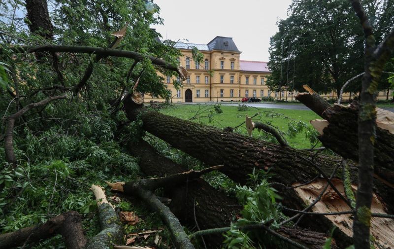 Vjetar je porušio i stabla u parku psihijatrijske bolnice Vrapče.
