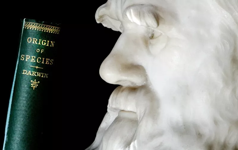 A copy of Darwin's book the "Origin of Species" is pictured in front of a life size stone bust of Charles Darwin at London's Natural History Musuem, 08 June 2006. 'The Kohler Darwin Collection' is the largest and most comprehensive collection of books by and about Charles Darwin in the world, and is also the biggest purchase in the Natural History Museum's history. AFP PHOTO/SHAUN CURRY / AFP PHOTO / SHAUN CURRY