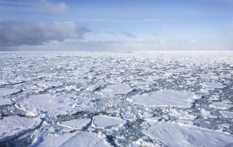 MCMURDO SOUND 
Ice floes drifting - Ross Sea Antarctic. 
 
Biosphoto / Samuel Blanc