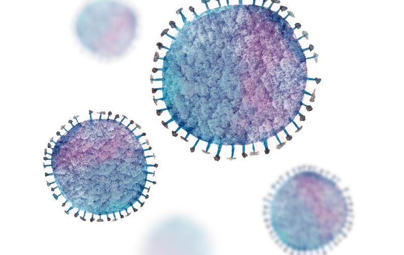 Influenza virus image