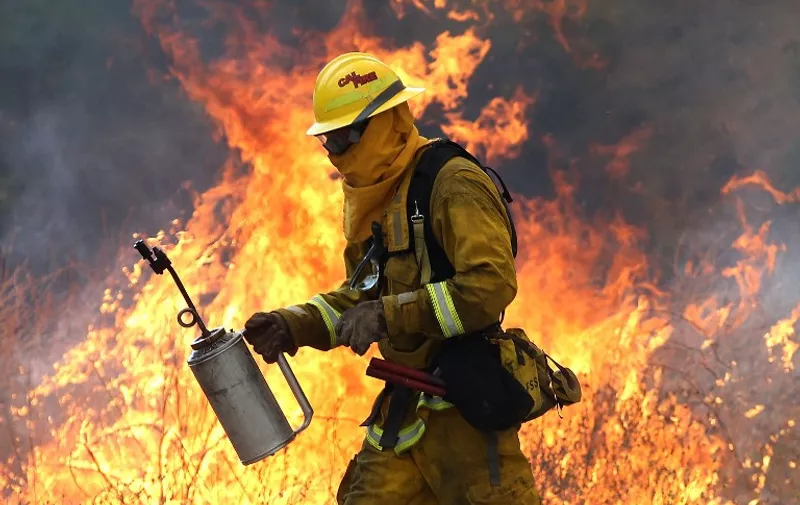 CLEARLAKE, CA - AUGUST 03: A Cal Fire firefighter moves away from a tall flame as he uses a drip torch to burn dry grass during a backfire operation to head off the Rocky Fire on August 3, 2015 near Clearlake, California. Nearly 3,000 firefighters are battling the Rocky Fire that has burned over 60,000 acres has forced the evacuation of 12,000 residents in Lake County. The fire is currently 12 percent contained and has destroyed at least 14 homes. 6,300 homes are threatened by the fast moving blaze.   Justin Sullivan/Getty Images/AFP