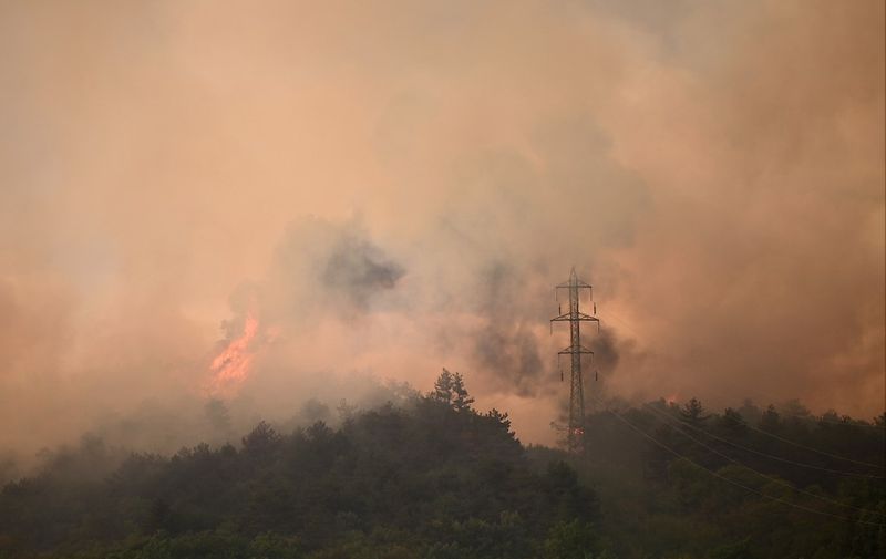 This photograph taken on July 22, 2022, shows a cloud of smoke rising as wildfires rage in the forest close to the villages of Temnica and Lipe on July 22, 2022. - Hundreds of firefighters were deployed in western Slovenia to battle a blaze that forced the evacuation of several villages, emergency services said. (Photo by Jure Makovec / AFP)