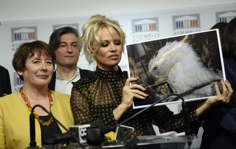 US actress Pamela Anderson shows a picture of a geese as she gives a press conference with French MP Laurence Abeille (L) after attending a session of questions to the Government at the French National Assembly in Paris on January 19, 2016.
Former "Baywatch" star Pamela Anderson set feathers flying in the French parliament on Tuesday when she turned up to support a ban on force-feeding ducks and geese to make foie gras / AFP / ERIC FEFERBERG