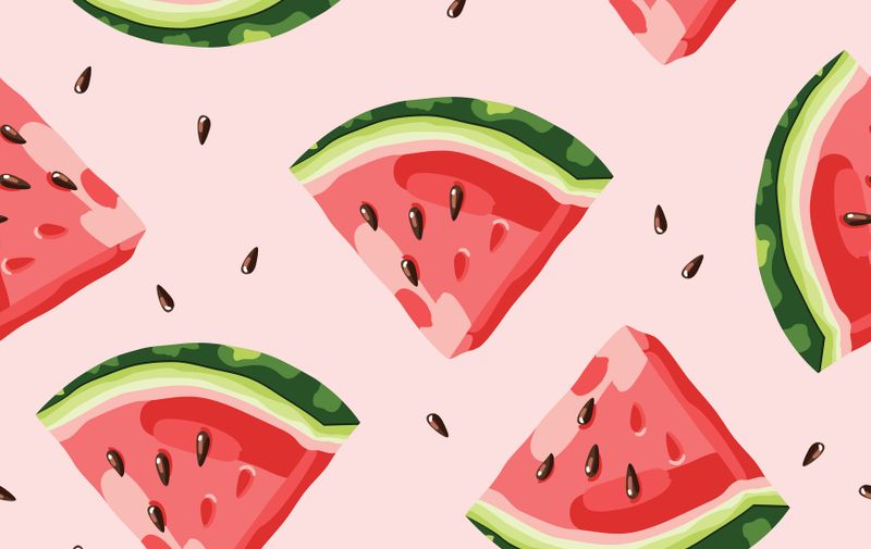 Watermelon pattern vector