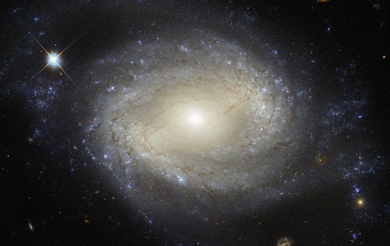 In this ESA/Hubble &amp; NASA handout released October 12, 2015 NGC 4639 is shown, a beautiful example of a type of galaxy known as a barred spiral. It lies over 70 million light-years away in the constellation of Virgo and is one of about 1500 galaxies that make up the Virgo Cluster. In this image, taken by the NASA/ESA Hubble Space Telescope, one can clearly see the bar running through the bright, round core of the galaxy. Bars are found in around two thirds of spiral galaxies, and are thought to be a natural phase in their evolution. The galaxys spiral arms are sprinkled with bright regions of active star formation. Each of these tiny jewels is actually several hundred light-years across and contains hundreds or thousands of newly formed stars. But NGC 4639 also conceals a dark secret in its core  a massive black hole that is consuming the surrounding gas. This is known as an active galactic nucleus (AGN), and is revealed by characteristic features in the spectrum of light from the galaxy and by X-rays produced close to the black hole as the hot gas plunges towards it. Most galaxies are thought to contain a black hole at the centre.    AFP PHOTO                           == RESTRICTED TO EDITORIAL USE / MANDATORY CREDIT: "AFP PHOTO / HANDOUT / ESA/HUBBLE &amp; NASA "/ NO MARKETING / NO ADVERTISING CAMPAIGNS / DISTRIBUTED AS A SERVICE TO CLIENTS ==  / AFP PHOTO / ESA/HUBBLE &amp; NASA / -