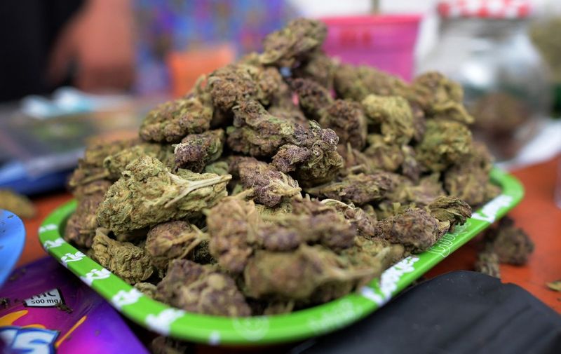 Marijuana for sale is seen during Cannabis at the park festival in Bogota, Colombia on October 7, 2023. (Photo by Daniel Munoz / AFP)