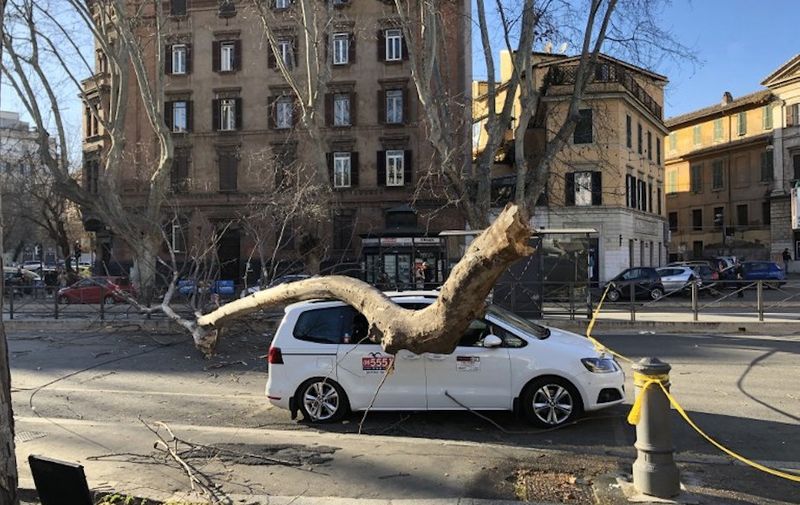 23 February 2019, Italy, Rom: In strong winds the branch of a tree in the street Viale di Trastevere fell on a car. In the Italian capital and surroundings several trees fell on cars due to the storm. Photo: Benno Schwinghammer/dpa