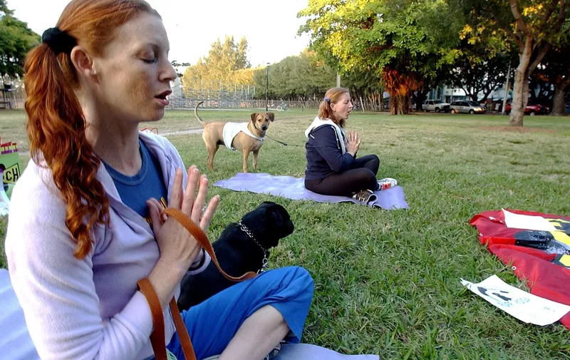 FOR USE WITH US-PETS-OFFBEAT-YOGA Yoga instructors Colleen Farnum (L) with Satchmo (2L) and Mary Beth Melchior (R) with Trixie (2R) lead a small group of Yoga practitioners during a "dog yoga" session at a local park in Miami Beach, Florida, 20 January, 2004. One afternoon of every month a small group of dog owners join the instructors to enjoy Yoga with their dogs. The "doga" or "ruff yoga" as it has come to be known was launched in New York.  AFP PHOTO/Roberto SCHMIDT (Photo by ROBERTO SCHMIDT / AFP)