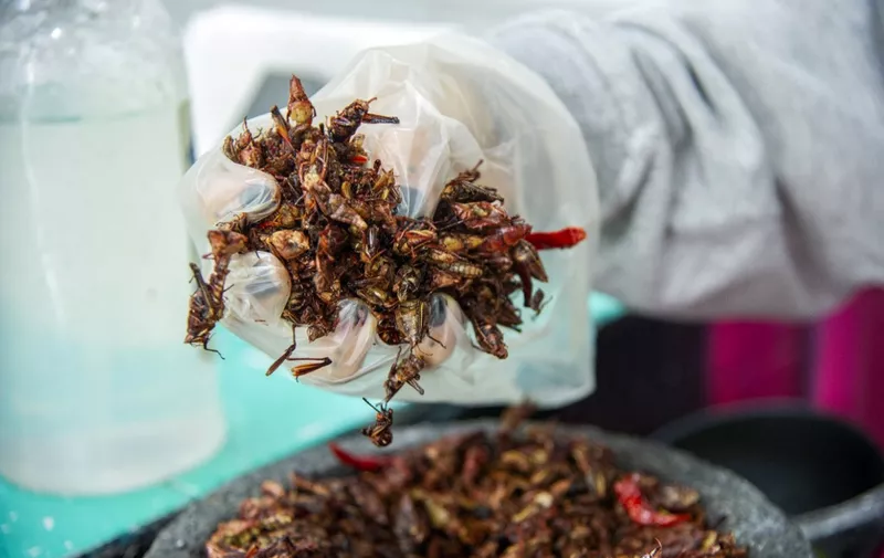 An employee holds grasshoppers at a store of the San Juan market at the historic center in Mexico City on August 3, 2021. - Insects and corn have been two of the staples of the Mexican cuisine since pre-hispanic times and are still present in the country's gastronomy. Pre-Hispanic traditions as dance, gastronomy and language endure in Mexico 500 years after the fall of Mexico-Tenochtitlan to the Spanish conquerors. (Photo by CLAUDIO CRUZ / AFP)
