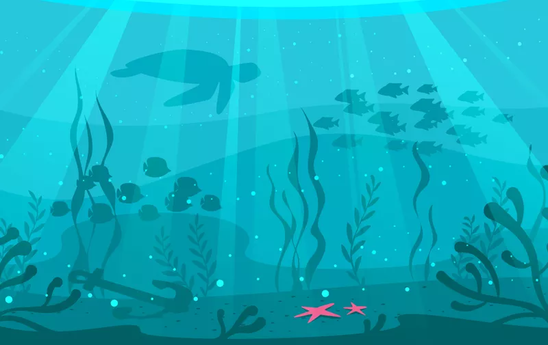 Vector cartoon style underwater background with sea flora and fauna. Coral reef, sea plants and fishes silhouettes.
