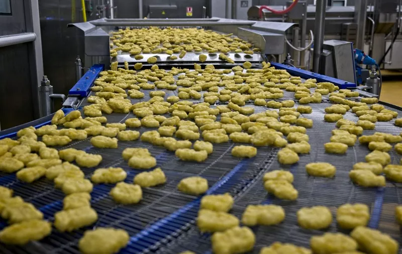 This picture taken on October 9, 2023 shows food factory Cargill's conveyor belt pool out chicken nuggets after have been cooked inside the factory in Orleans, Central France. Cargill, which employs 250 employees, provides 70% of the needs of the breaded chicken demand such as nuggets to the 1550 Mac Donald's restaurants in France. (Photo by GUILLAUME SOUVANT / AFP)
