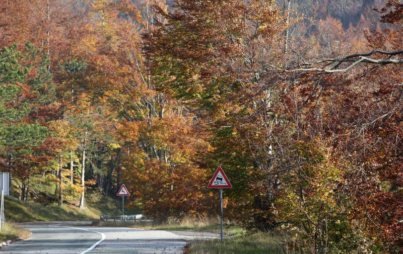 Boje jeseni u šumama Gorskog kotara 13.10.2018., Gornje Jelenje - Boje jeseni u sumi Gorskog kotara. 
Photo: Goran Kovacic/PIXSELL